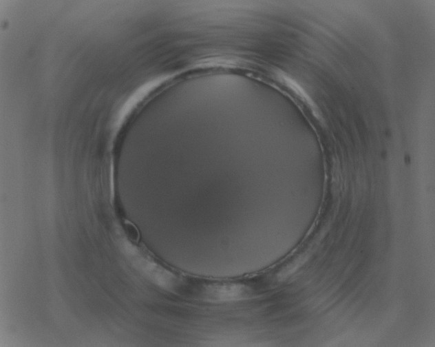 X0000077381323200611101719