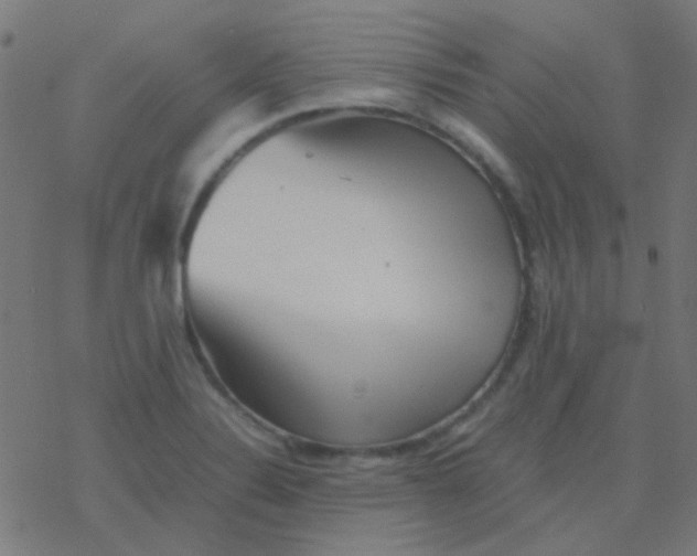 X0000077381324200611101719