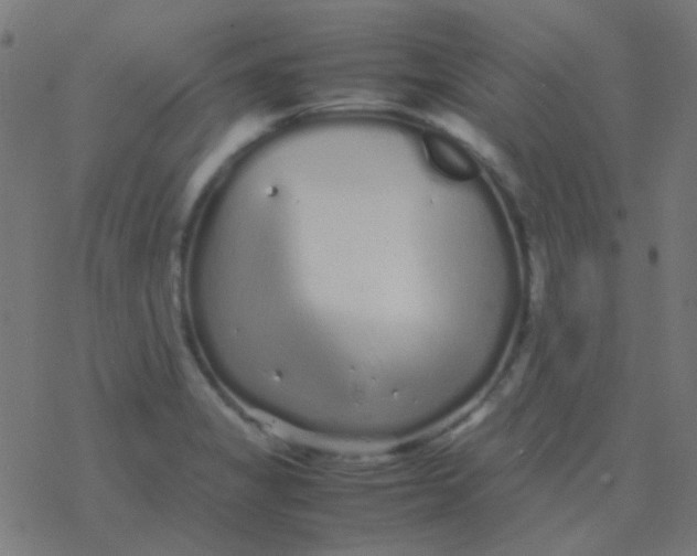 X0000077381325200611101719