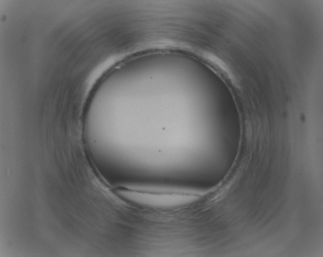 X0000077381326200611101719