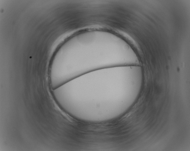 X0000077381327200611101719