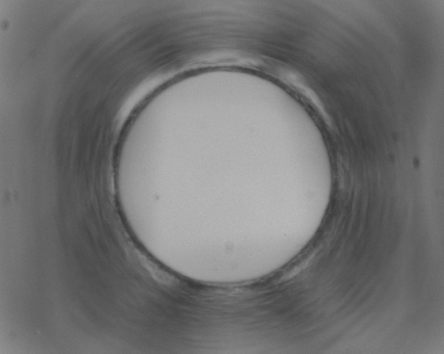 X0000077381328200611101719