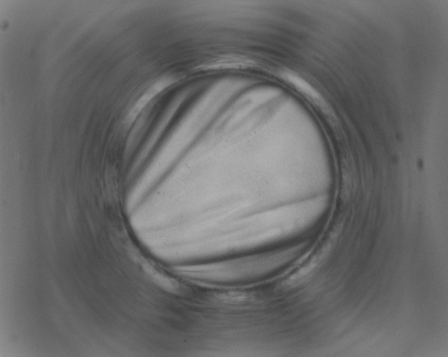 X0000077381329200611101719