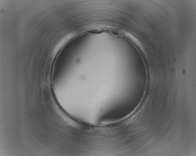 X0000077381330200611101719