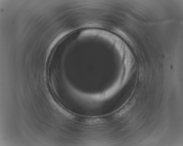 X0000077381331200611101720