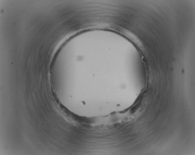 X0000077381332200611101720