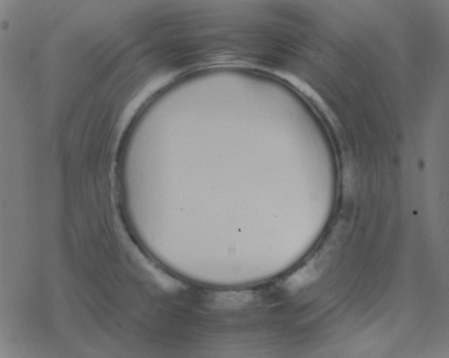 X0000077381333200611101720