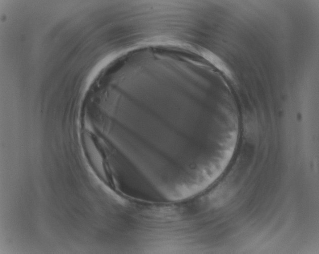 X0000077381334200611101720