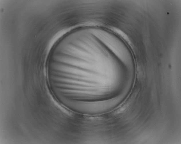 X0000077381335200611101720