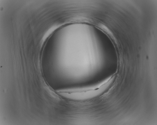 X0000077381336200611101720