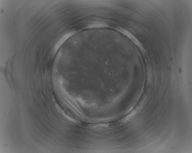 X0000077381337200611101720