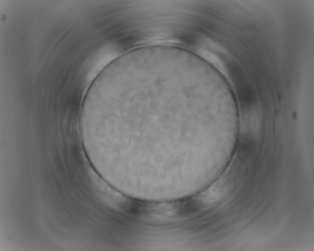 X0000077381338200611101720