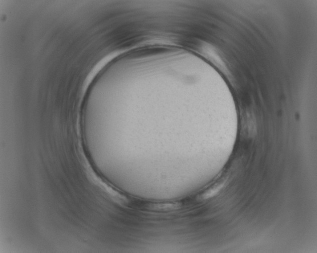 X0000077381339200611101720