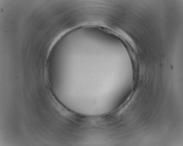 X0000077381340200611101720