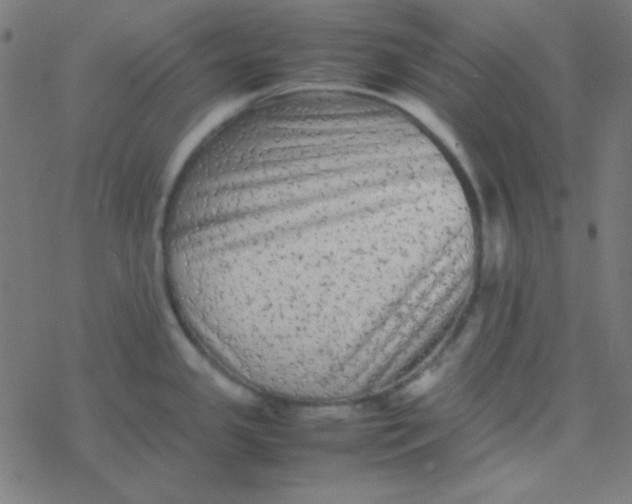 X0000077381341200611101720