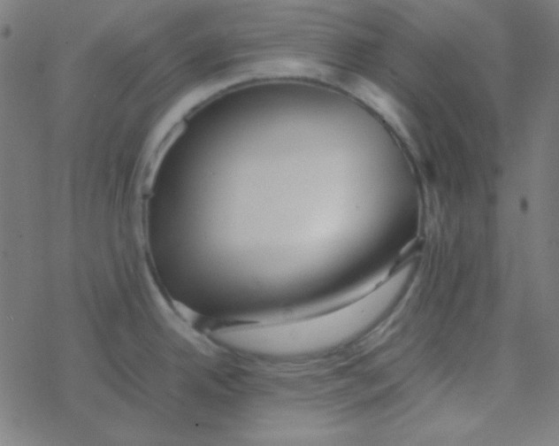 X0000077381342200611101720