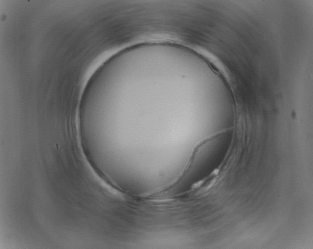 X0000077381343200611101720