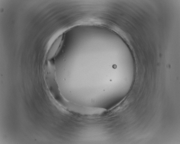 X0000077381344200611101720