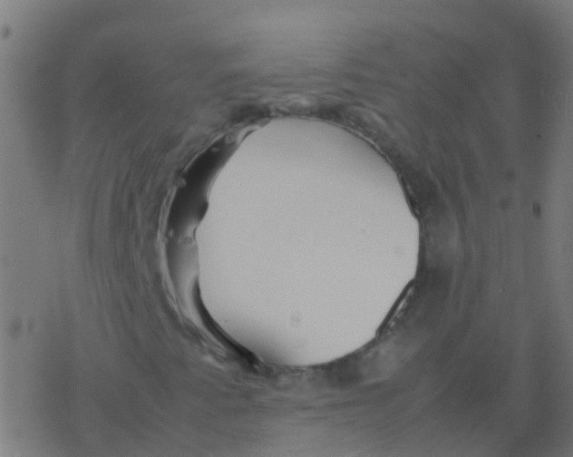 X0000077381345200611101719