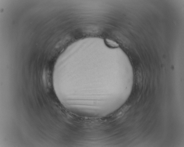 X0000077381346200611101719