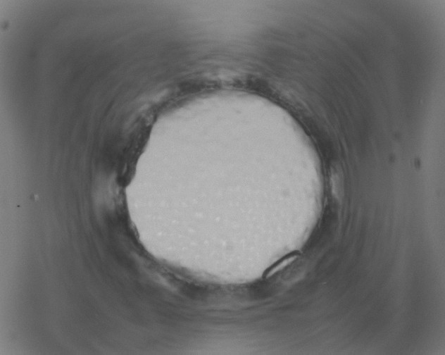 X0000077381347200611101719