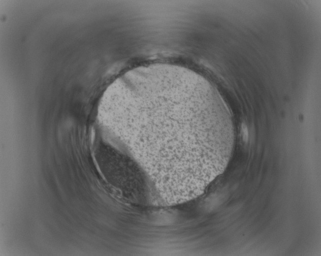 X0000077381348200611101719