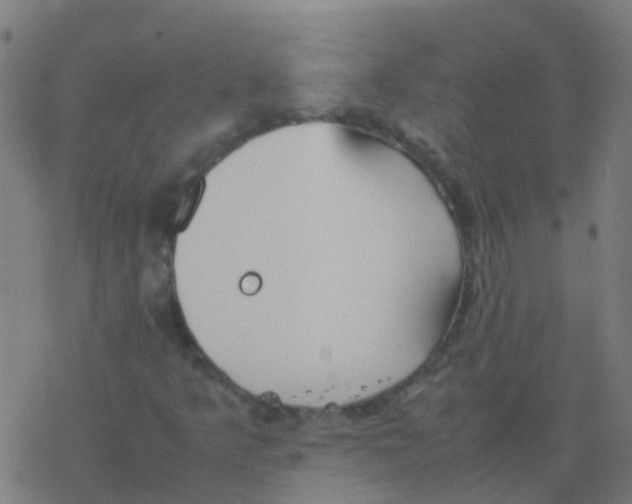 X0000077381349200611101719