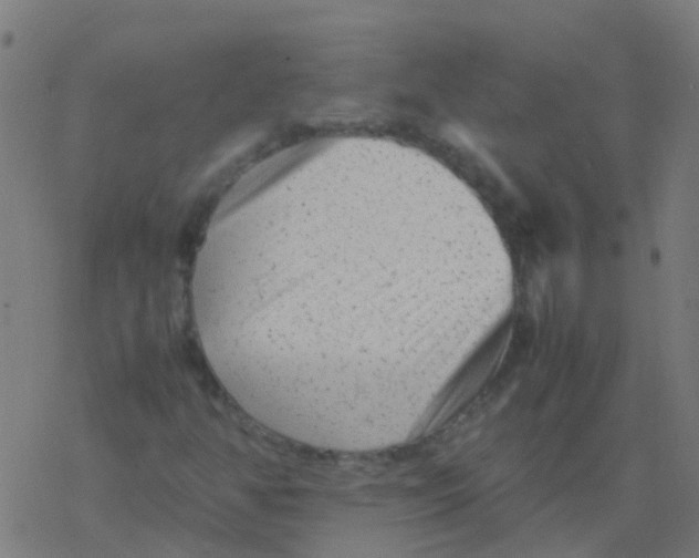 X0000077381350200611101719