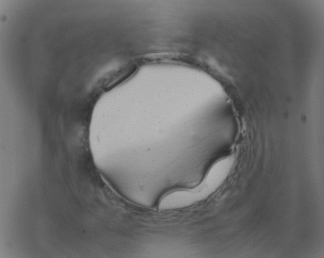 X0000077381351200611101719