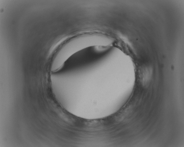 X0000077381352200611101719