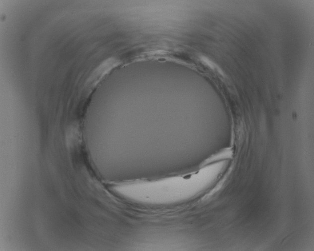 X0000077381353200611101719