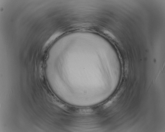 X0000077381354200611101719