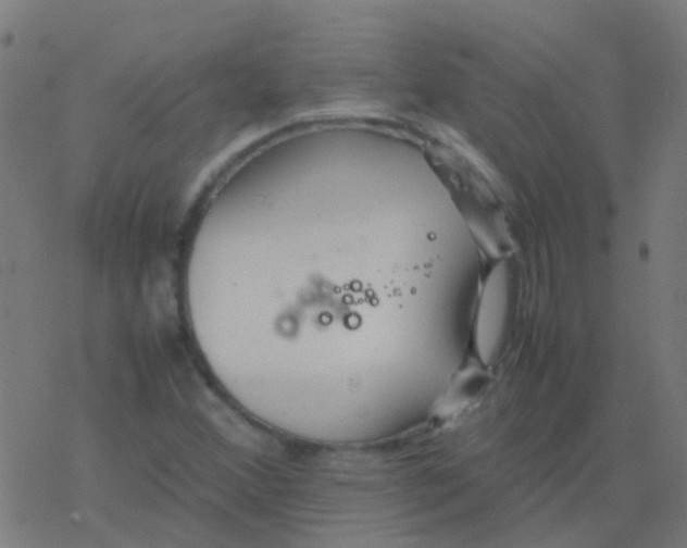 X0000077381356200611101719