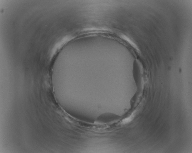 X0000077381357200611101719