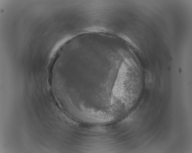 X0000077381358200611101719