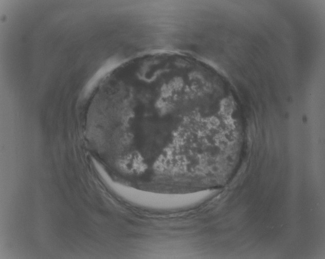 X0000077381359200611101719