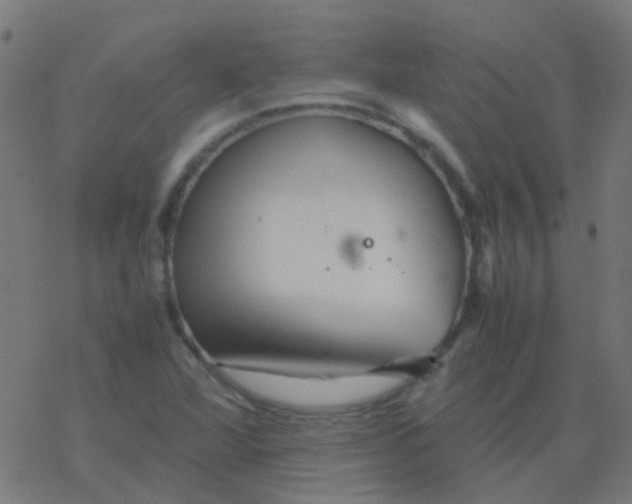 X0000077381360200611101719