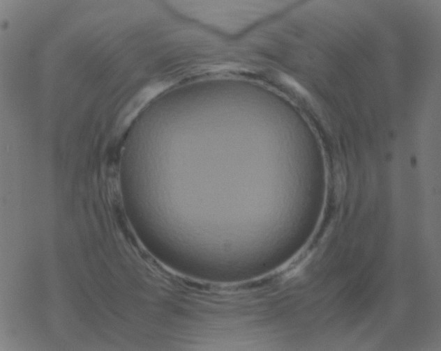 X0000077381361200611101719