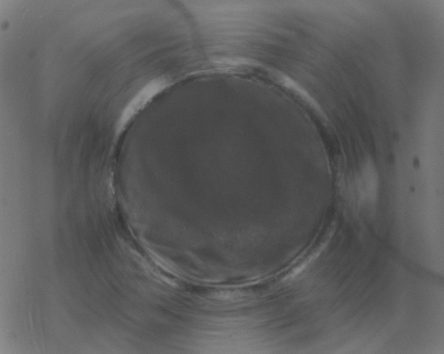 X0000077381362200611101719