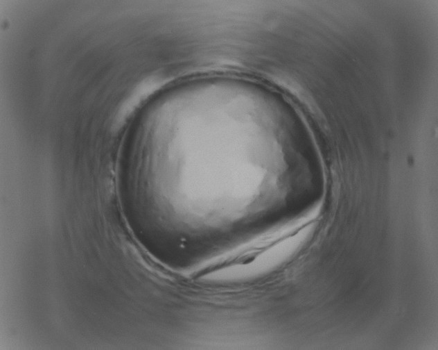 X0000077381363200611101719