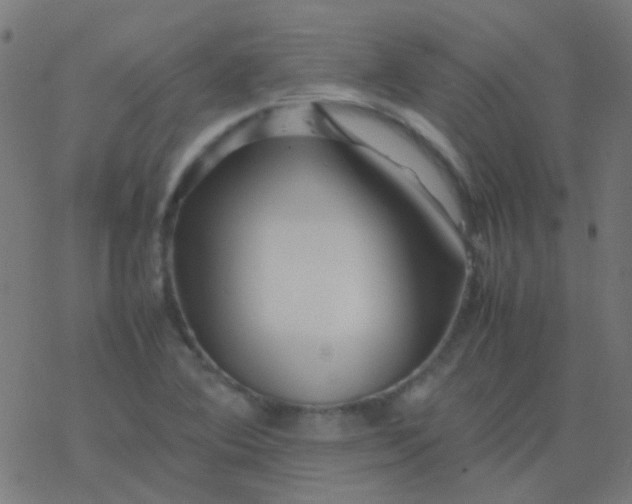 X0000077381364200611101719