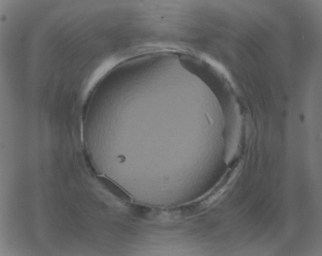 X0000077381365200611101719