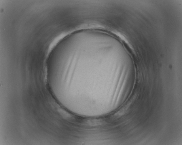 X0000077381366200611101719