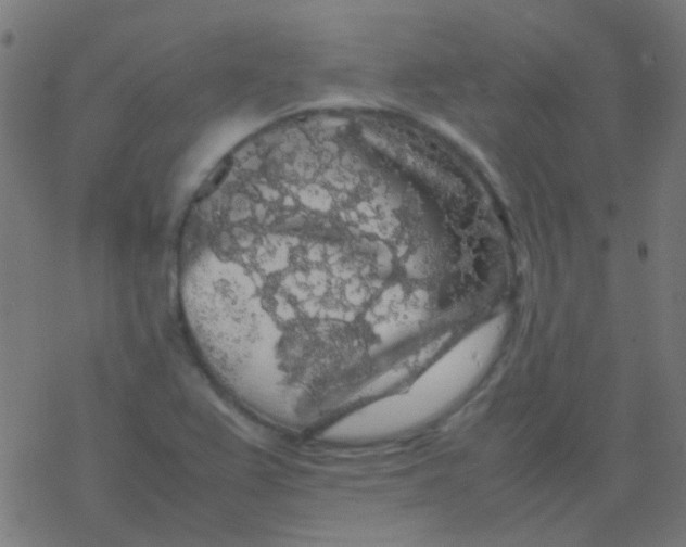 X0000077381367200611101719