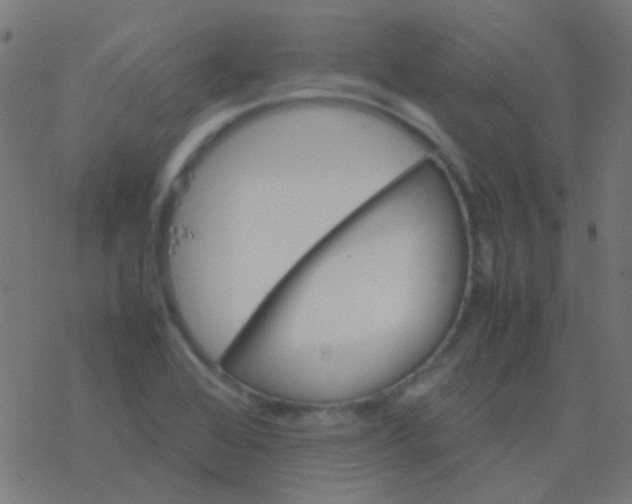 X0000077381368200611101719