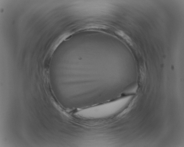 X0000077381369200611101719