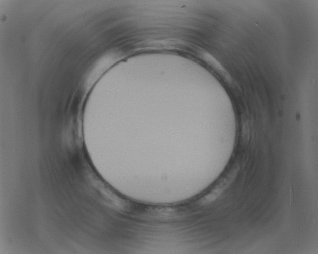 X0000077381370200611101719