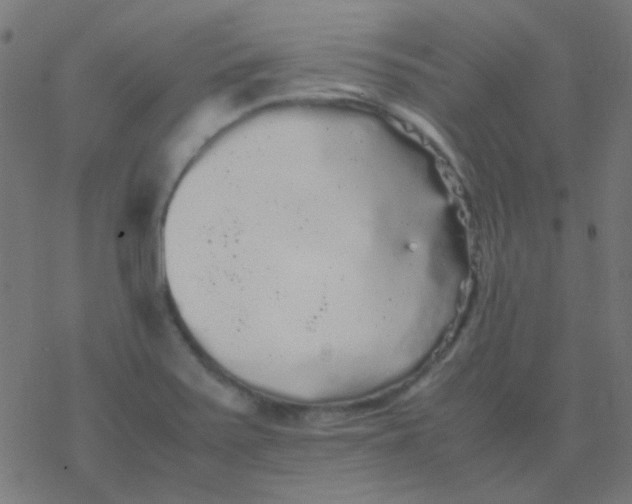 X0000077381371200611101719