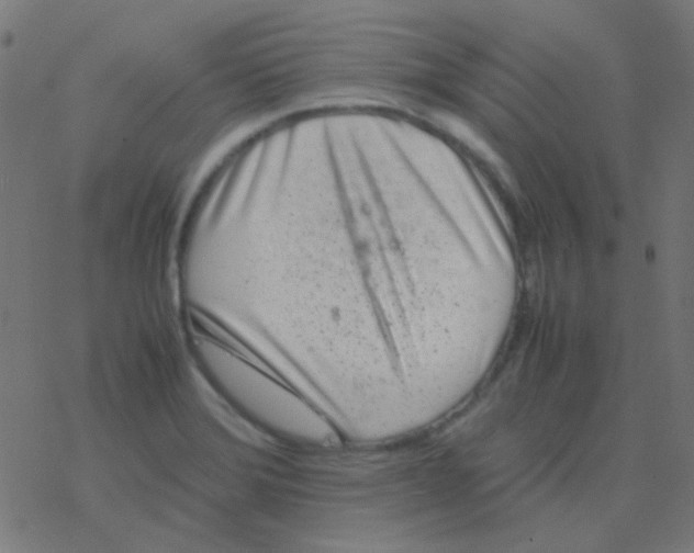 X0000077381372200611101718