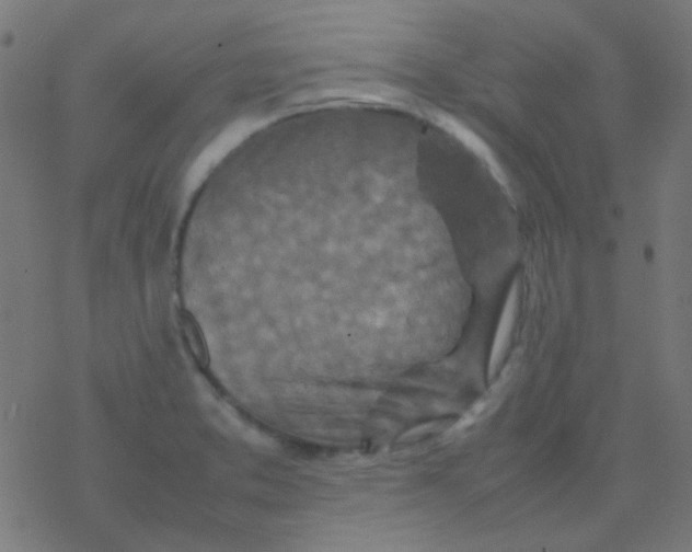 X0000077381373200611101718